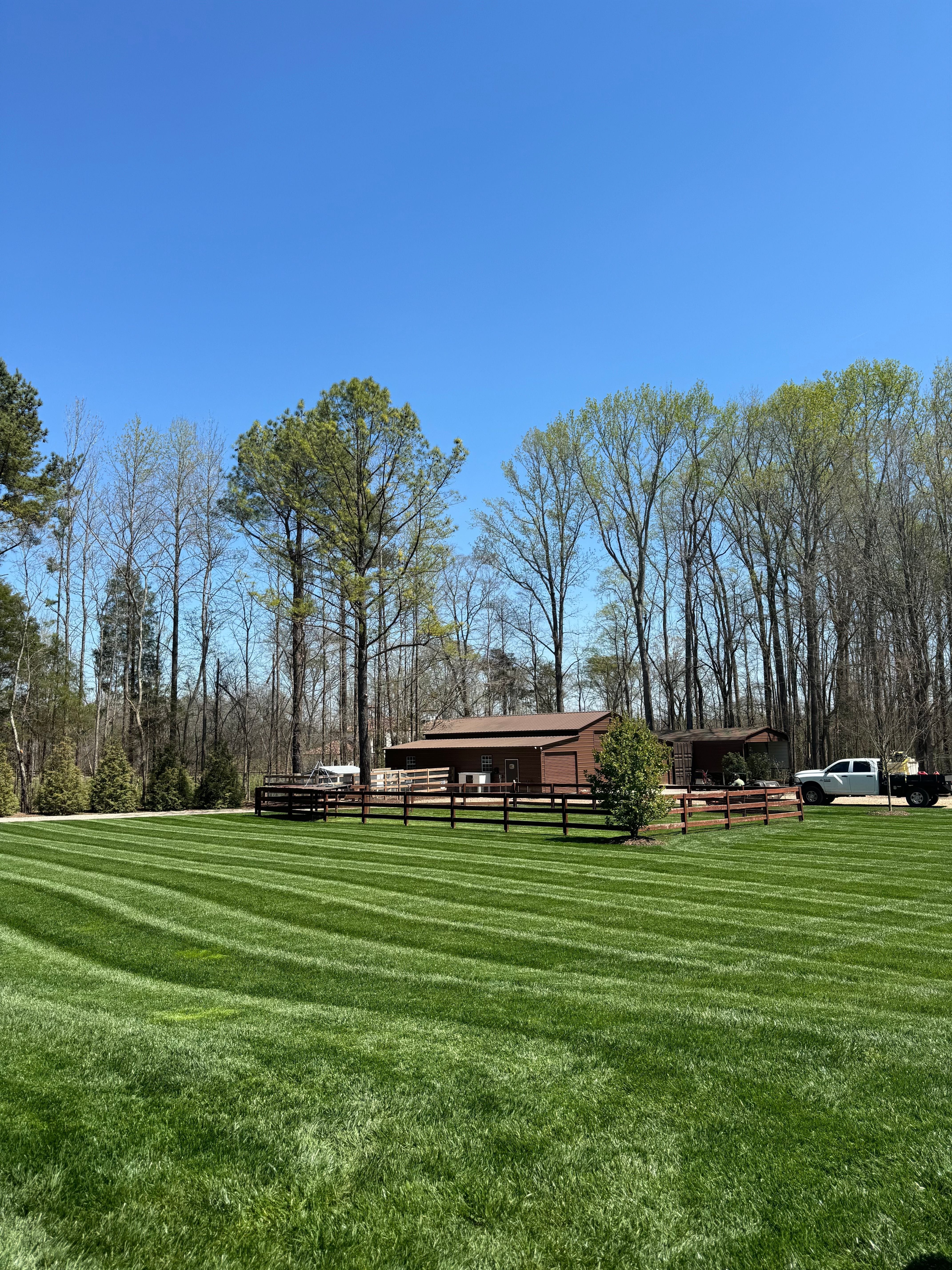 Perfectly striped mowed lawn in Harrisburg NC